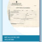 Birth certificate from Argentina translated to English