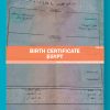 128484-Egypt-Birth-Certificate