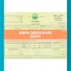 131203-Egypt-Birth-Certificate
