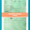 135706-China-Driver's-License