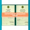 149398-Turkey-Certificate-of-graduation-Source