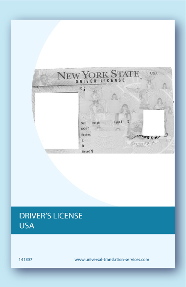 Drivers license USA translated into English