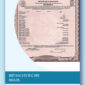 Brazilian birth certificate English translation