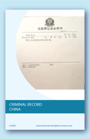 Chinese criminal record English translation