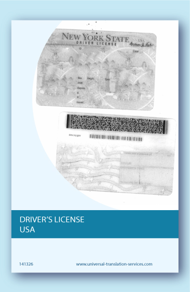 Drivers license USA translated into English