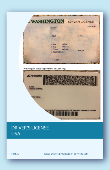 Drivers license USA translated into English